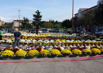 Na parkiralištu pored Tržnice prigodna prodaja cvjetnih aranžmana do 31. listopada