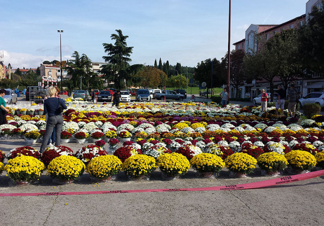 Na parkiralištu pored Tržnice prigodna prodaja cvjetnih aranžmana do 31. listopada