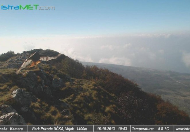 Uživo s krova Istre – panoramska kamera na Učki