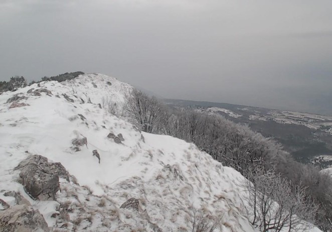 U utorak snijeg nakratko moguć i na jugu Istre, na Učki u četvrtak više od pola metra novog pokrivača