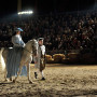 Kraljevski bal baroknih konja_FOTO Dražen Puniš