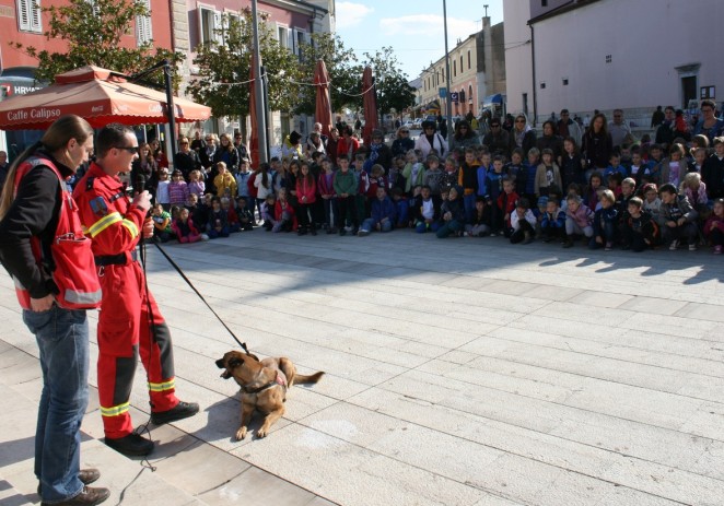 Pet tjedan na Trgu slobode – predavanje o o kućnim ljubimcima i radnim psima zanimljvo vrtićarcima i prolaznicima