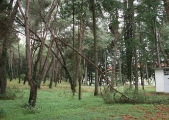 Uređenje dijela šume u naselju Bolnica