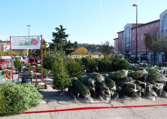 Započela je prodaja božićnih jelki na dijelu Velikog gradskog parkirališta