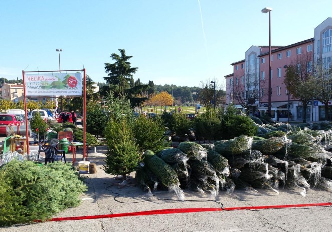 Započela je prodaja božićnih jelki na dijelu Velikog gradskog parkirališta