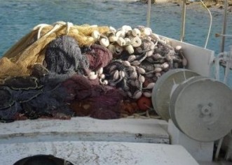 Ribari će se za ‘scraping’ moći prijaviti od 15. siječnja do 2. ožujka