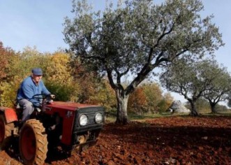Maslinari i vinogradari moraju platiti kontrolu