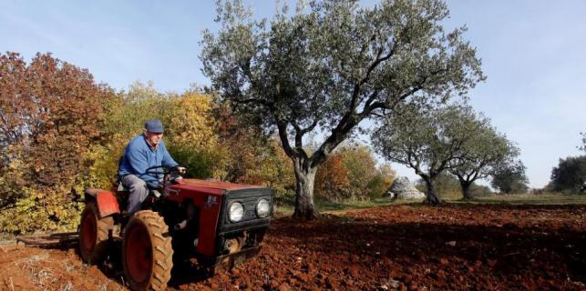 Maslinari i vinogradari moraju platiti kontrolu