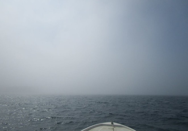 Prva proljetna magla iznenadila zapad Istre, moguća je i idućih dana