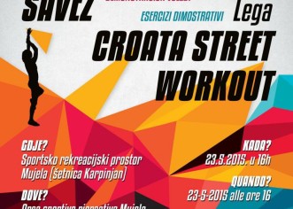Street workout u Novigradu