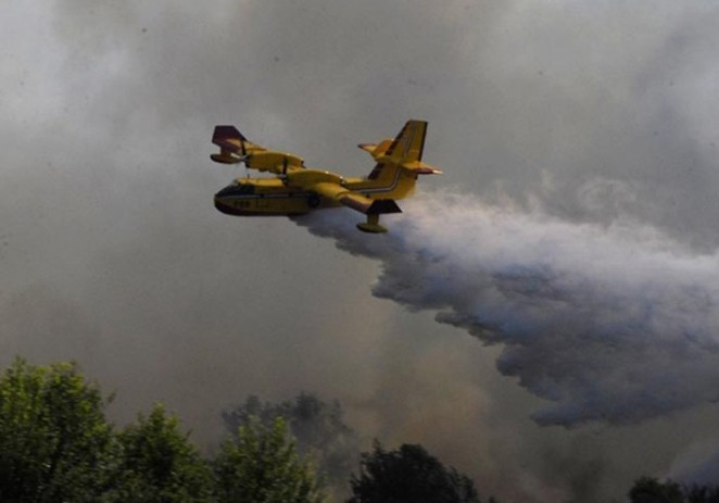 Pazin: Tri kanadera gasila požar, izgorjelo 25 hekatara šume