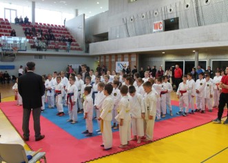 Karate: Održano 1. kolo Županijske lige u katama za najmlađe uzraste