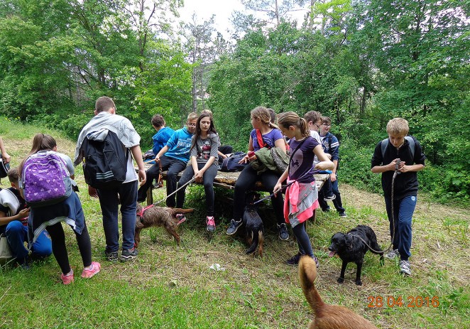 Učenici Osnovne škole Tar-Vabriga posjetili azil „HappyEnd AnimalRescue“ u Pazinu