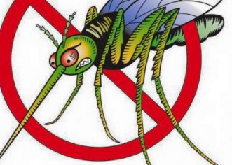 Od 26. do 30. srpnja 2016. će se na području Grada Poreča-Parenzo provesti akcija suzbijanja komaraca