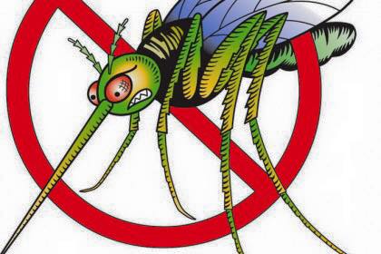 Od 26. do 30. srpnja 2016. će se na području Grada Poreča-Parenzo provesti akcija suzbijanja komaraca