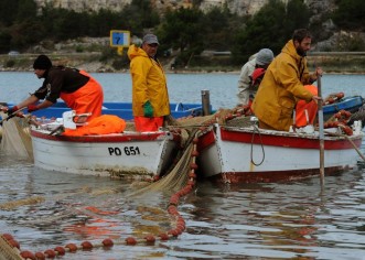 Porečki ribari očajni, ministarstvo ne da povlastice za rad na moru