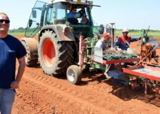 Agrolaguna izgubila 700 tisuća, a Agroprodukt 7 mil. kn