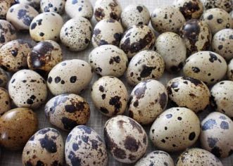 Povlačenje i opoziv proizvoda – Jaja od prepelica
