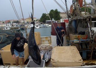 Talijani ulovili kapitalca od 120,9 kilograma