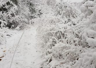 VEĆI DIO ISTRE JUTROS POD SNJEŽNIM POKRIVAČEM