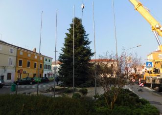 Božićna jelka postavljena na Trg Joakima Rakovca