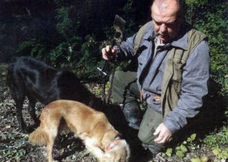 Branje šparuga i gljiva uskoro bez straha od kazni