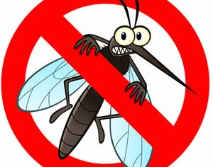 Kreće još jedna akcija zaprašivanja komaraca na području Poreča u periodu od 26. do 28. lipnja