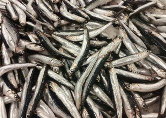 Fešta od sardona u Vabrigi okupila mnoge ljubitelje ribljih specijaliteta