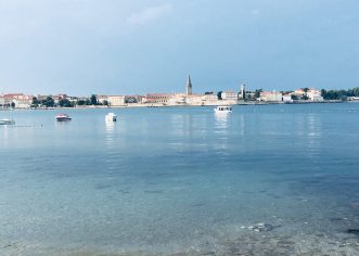 Ovogodišnji Delfin pliva se skraćeno – 1500 m !