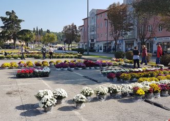 Počela prodaja prigodnih cvjetnih aranžmana