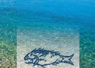 Juniori ŠRD Zubatac POREČ drugi na Županijskom prvenstvu