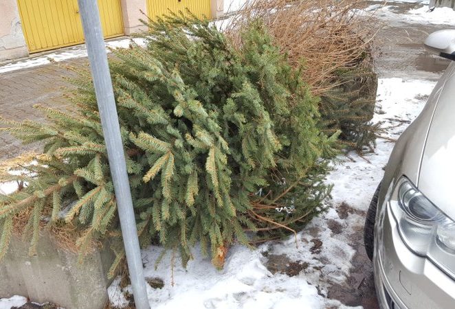 Svoju staru božićnu jelku možete besplatno odložiti u reciklažnom dvorištu Garbina ili u prostorima bivše Školjke