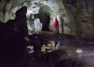 U Romualdovoj pećini otkrivene 44 SLIKARIJE NA KOJIMA SU DIVOKOZA, BIZON I LJUDI STARE VIŠE OD 30.000 GODINA