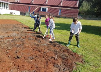 Tjedan botaničkih vrtova u Osnovnoj školi Poreč