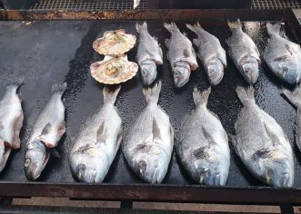 Ove srijede, 10. srpnja, prva ovogodišnja Ribarska fešta u Červar-Portu