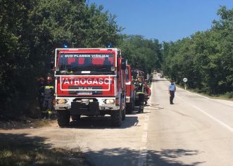 Šumski požar kod Kurjavići, izgorio je hektar šumske površine