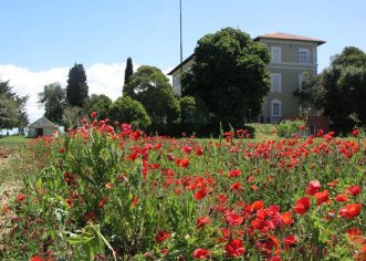 Edukacija za edukatore u projektu EKOSFERA POREČ i Skupština Udruge Bio Istra