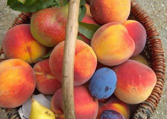 Posljednji plac od fruti kao najava Fešte od fruti