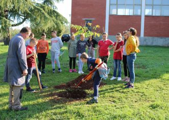 Učenici osn.škole Joakima Rakovca u Sv. Lovreču zasadili stabla povodom nacionalne akcije “Zasadi drvo, ne budi panj!”