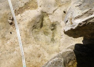 Otkriveno novo nalazište otisaka dinosaura u Istri !