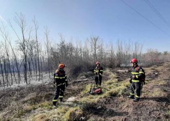 Jučer u Istri četiri požara trave i niskog raslinja
