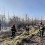 Jučer u Istri četiri požara trave i niskog raslinja