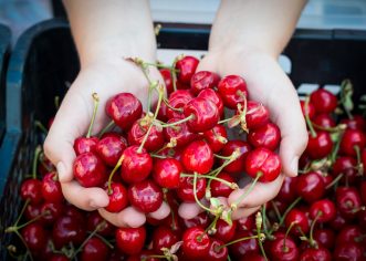 U nedjelju 24.5.2020. se održava prvi ovogodišnji Kaldirski plac od fruti !