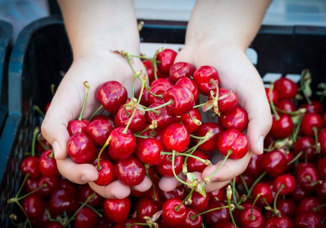 U nedjelju 24.5.2020. se održava prvi ovogodišnji Kaldirski plac od fruti !