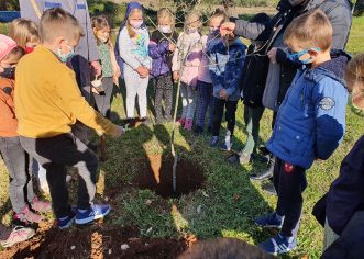Učenici osnovne škole Joakima Rakovca u sv. Lovreču nastavili su sa projektom “Maslina” i posadili nove sadnice maslina