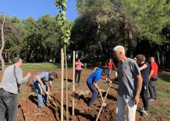 U Poreču i ove godine novih 500 sadnica stabala u sklopu nacionalne akcije „Zasadi stablo, ne budi panj“