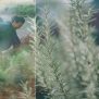 BIO ISTRA unapređuje kvalitetu života mirisnim aromatičnim biljem – Završna Zoom konferencija EKOSFERA POREČ-PUTEM RUŽMARINA
