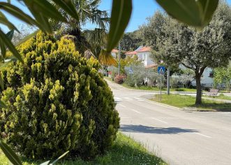 Sljedeći tjedan kreću radovi na zaštiti ukrasnog bilja na javnim površinama