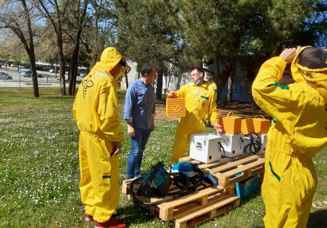 Porečka udruga pčelara “Nektar” formirala je grupu za zaštitu i zbrinjavanje rojeva pčela – dolaze na poziv 112