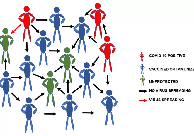 Lauc: Kolektivni imunitet (imunitet krda) na SARS-CoV-2 nije moguće postići cijepljenjem i tu strategiju treba zaboraviti